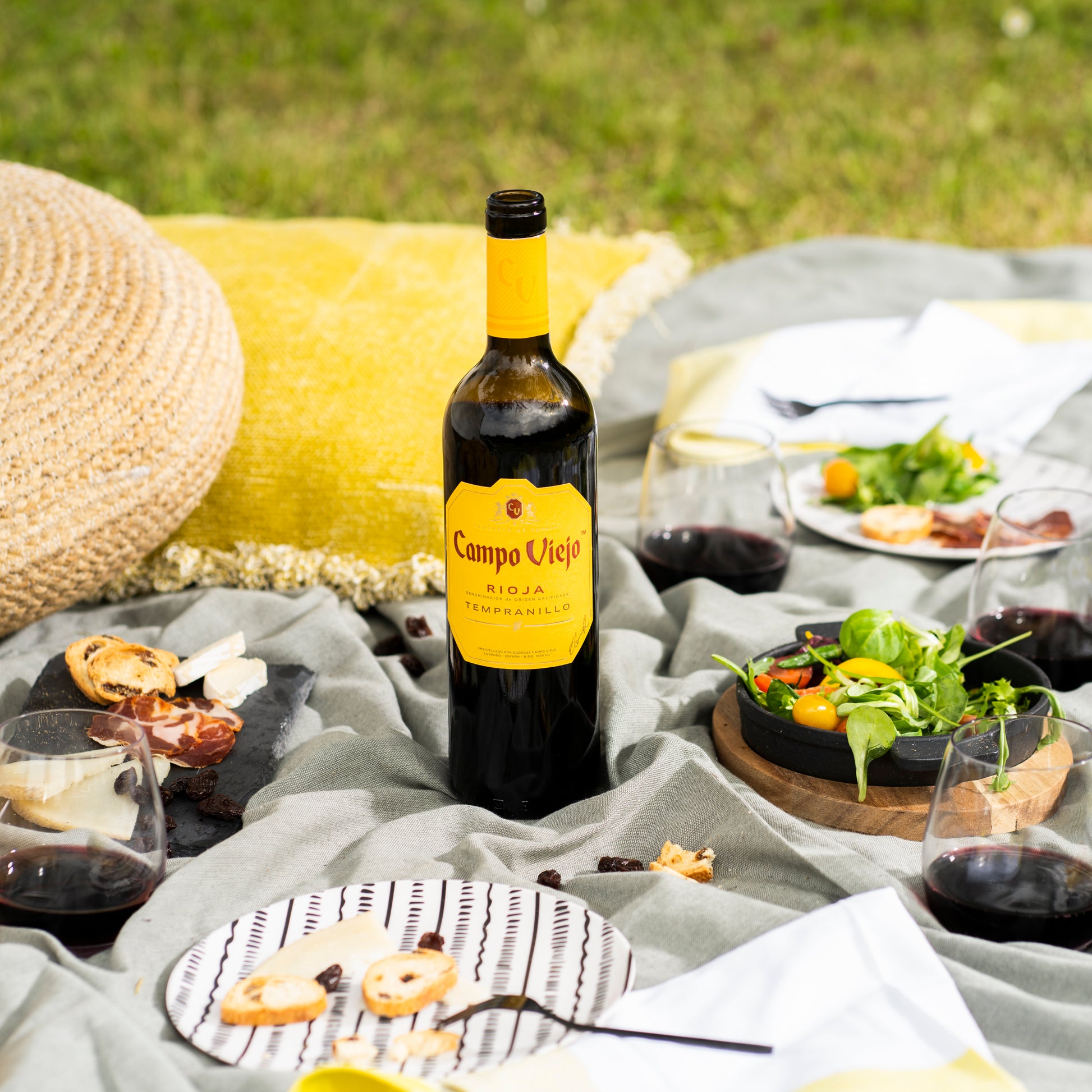 Picnic setup with Campo Viejo wine bottle, food, and glasses on a grassy background