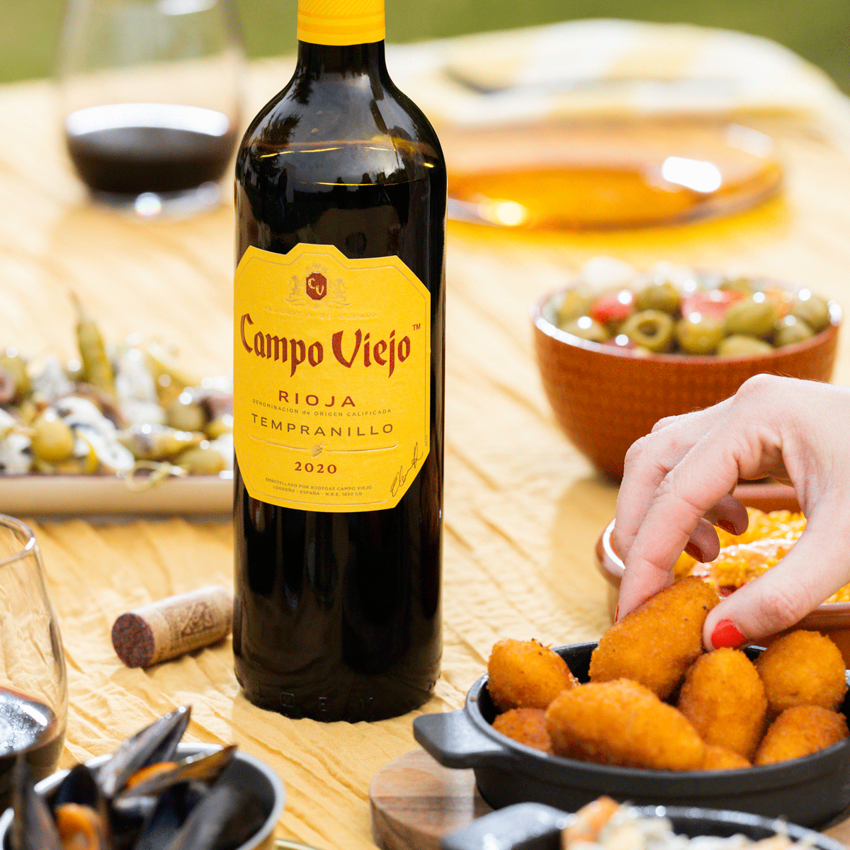 Campo Viejo Tempranillo 75cl Red Wine gif visual